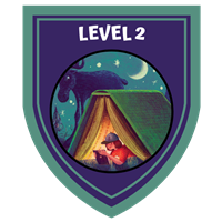 teen level 2 Badge