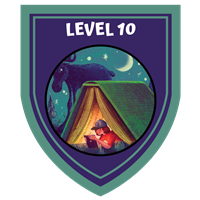 teen level 10 Badge
